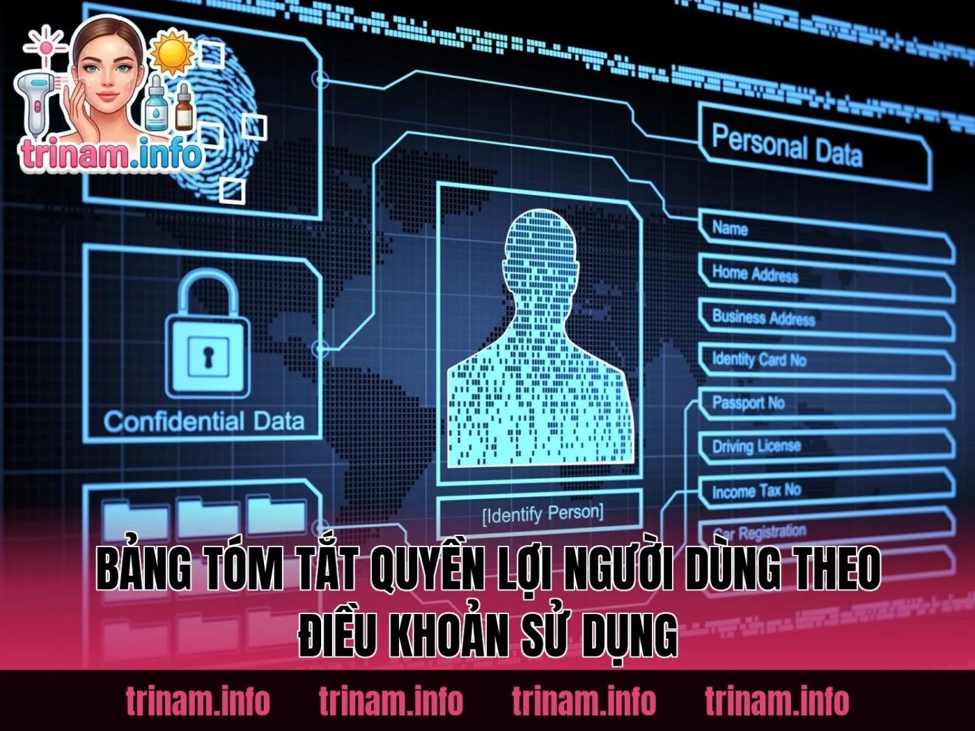 Bảng tóm tắt quyền lợi người dùng theo điều khoản sử dụng