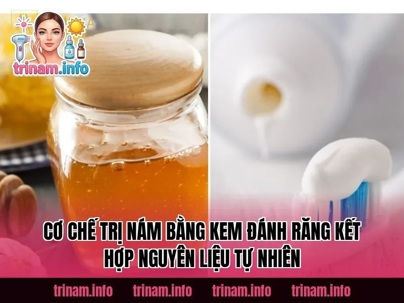 Cơ chế trị nám bằng kem đánh răng kết hợp nguyên liệu tự nhiên