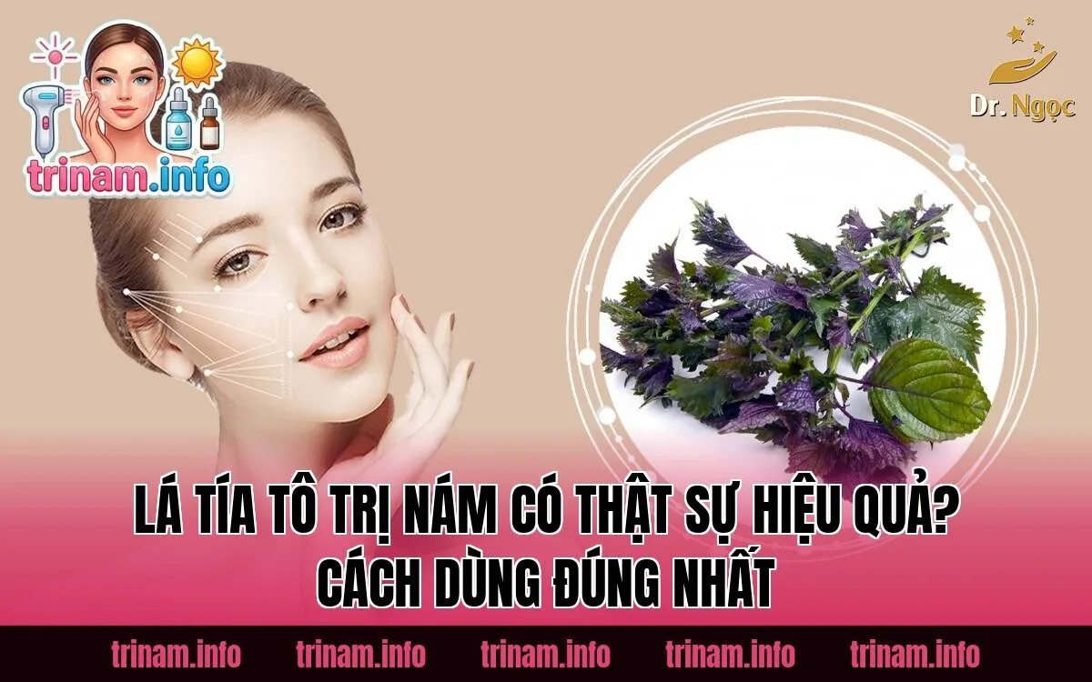 Lá Tía Tô Trị Nám Có Thật Sự Hiệu Quả? Cách Dùng Đúng Nhất