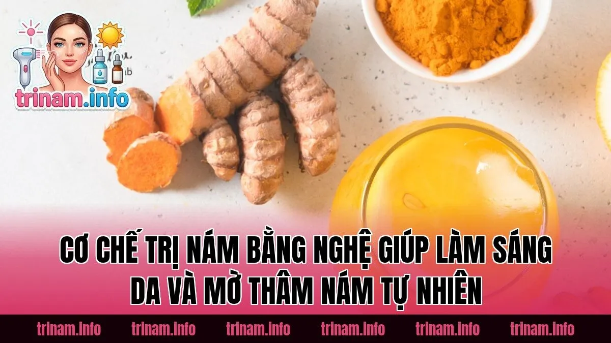 Cơ chế trị nám bằng nghệ giúp làm sáng da và mờ thâm nám tự nhiên