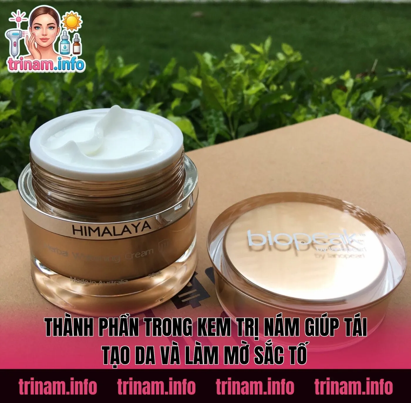 Thành phần trong kem trị nám giúp tái tạo da và làm mờ sắc tố