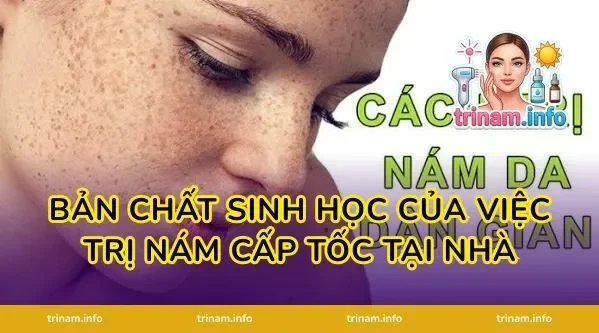 Bản chất sinh học của việc trị nám cấp tốc tại nhà