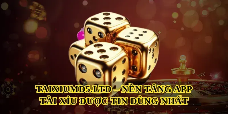 Taixiumd5.ltd – Nền Tảng App Tài Xỉu Được Tin Dùng Nhất